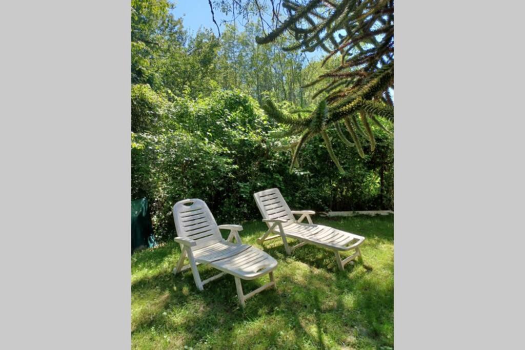 L'orée des bois , détente et calme . Mesigny Exterior foto